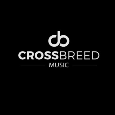 crossbreed launch